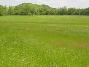Undisclosed, Hector, AR 72843 photo 57