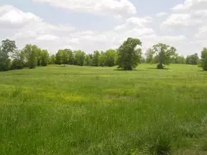 Undisclosed, Hector, AR 72843 photo 58