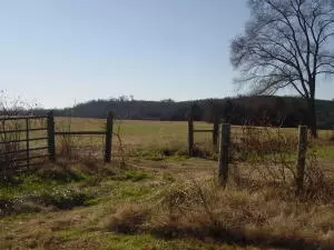 Undisclosed, Hector, AR 72843 photo 41
