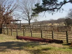 Undisclosed, Hector, AR 72843 photo 84
