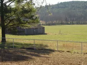 Undisclosed, Hector, AR 72843 photo 11