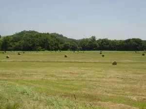 Undisclosed, Hector, AR 72843 photo 65
