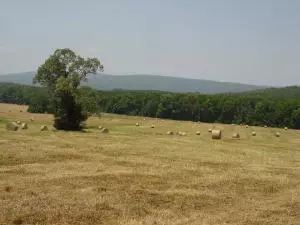 Undisclosed, Hector, AR 72843 photo 79