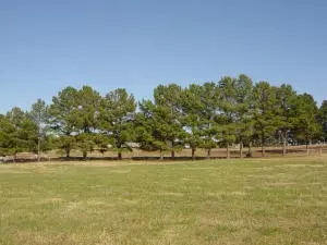 Undisclosed, Hector, AR 72843 photo 37