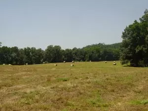 Undisclosed, Hector, AR 72843 photo 66