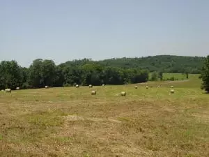 Undisclosed, Hector, AR 72843 photo 67