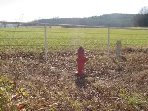 Undisclosed, Hector, AR 72843 photo 14