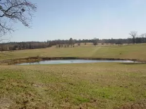 Undisclosed, Hector, AR 72843 photo 26