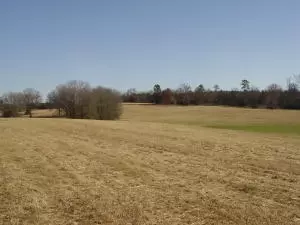 Undisclosed, Hector, AR 72843 photo 38