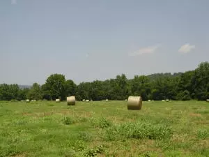 Undisclosed, Hector, AR 72843 photo 73