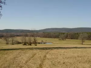 Undisclosed, Hector, AR 72843 photo 27