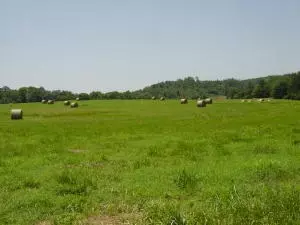 Undisclosed, Hector, AR 72843 photo 64