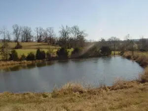 Undisclosed, Hector, AR 72843 photo 28
