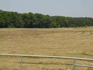 Undisclosed, Hector, AR 72843 photo 78