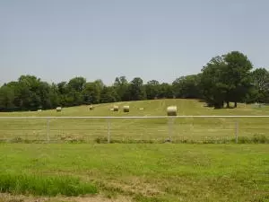 Undisclosed, Hector, AR 72843 photo 76