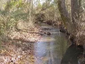 Undisclosed, Hector, AR 72843 photo 30