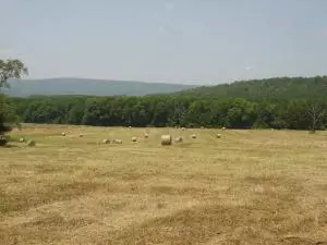 Undisclosed, Hector, AR 72843 photo 80