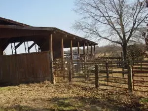 Undisclosed, Hector, AR 72843 photo 83