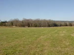 Undisclosed, Hector, AR 72843 photo 34