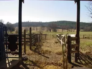 Undisclosed, Hector, AR 72843 photo 47