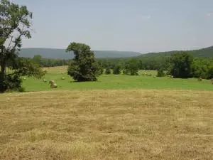 Undisclosed, Hector, AR 72843 photo 70