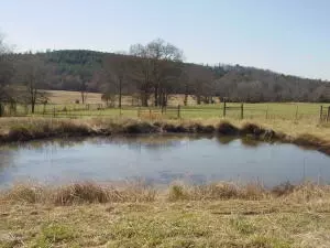 Undisclosed, Hector, AR 72843 photo 32