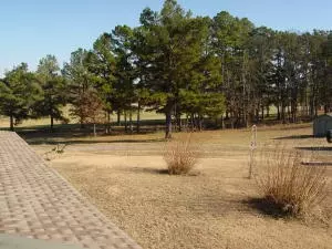 Undisclosed, Hector, AR 72843 photo 89