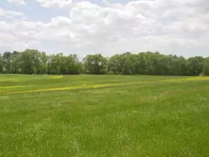 Undisclosed, Hector, AR 72843 photo 60