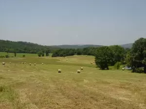 Undisclosed, Hector, AR 72843 photo 68