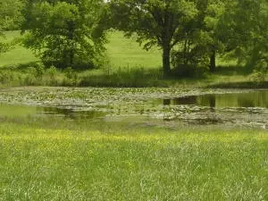 Undisclosed, Hector, AR 72843 photo 59