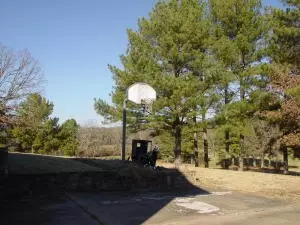 Undisclosed, Hector, AR 72843 photo 2