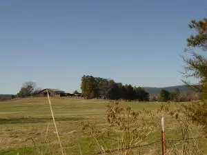 Undisclosed, Hector, AR 72843 photo 42