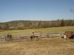 Undisclosed, Hector, AR 72843 photo 50