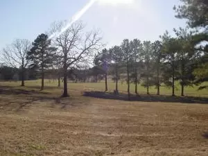 Undisclosed, Hector, AR 72843 photo 8