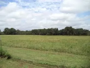 Undisclosed, Hartman, AR 72840 photo 25