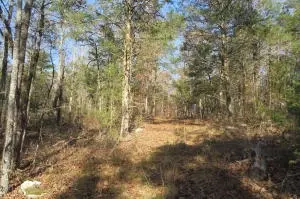 Undisclosed, Dover, AR 72837 photo 19