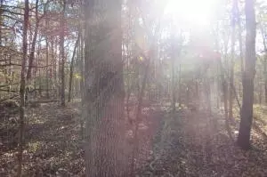 Undisclosed, Dover, AR 72837 photo 35