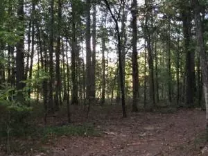Undisclosed, Dover, AR 72837 photo 25