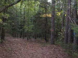 Undisclosed, Dover, AR 72837 photo 23