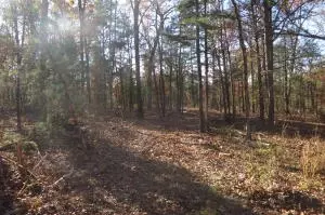 Undisclosed, Dover, AR 72837 photo 31