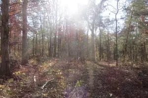 Undisclosed, Dover, AR 72837 photo 33