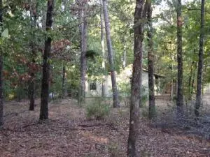 Undisclosed, Dover, AR 72837 photo 26