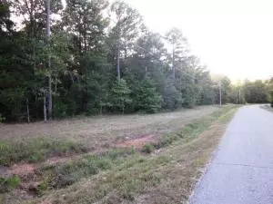 Undisclosed, Dover, AR 72837 photo 29