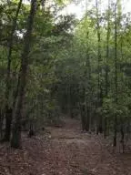 Undisclosed, Dover, AR 72837 photo 24
