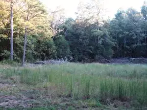 Undisclosed, Dover, AR 72837 photo 21