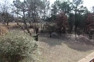 Undisclosed, Dover, AR 72837 photo 46