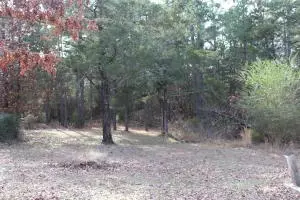 Undisclosed, Dover, AR 72837 photo 45