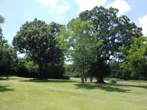 Undisclosed, Danville, AR 72833 photo 4