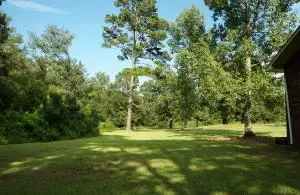 Undisclosed, Dover, AR 72837 photo 35