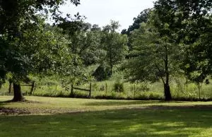 Undisclosed, Dover, AR 72837 photo 32